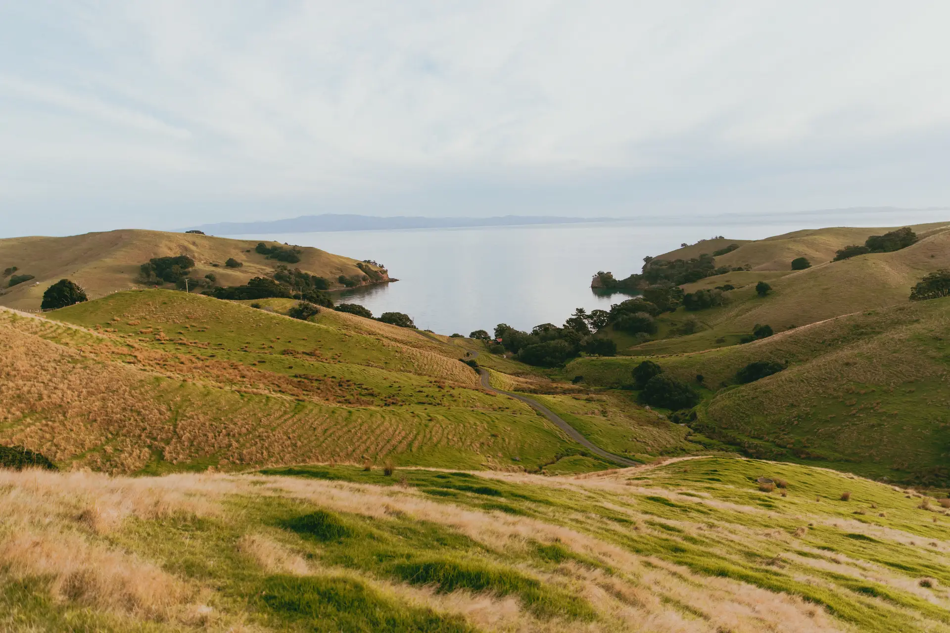 Tranquil coastal hills