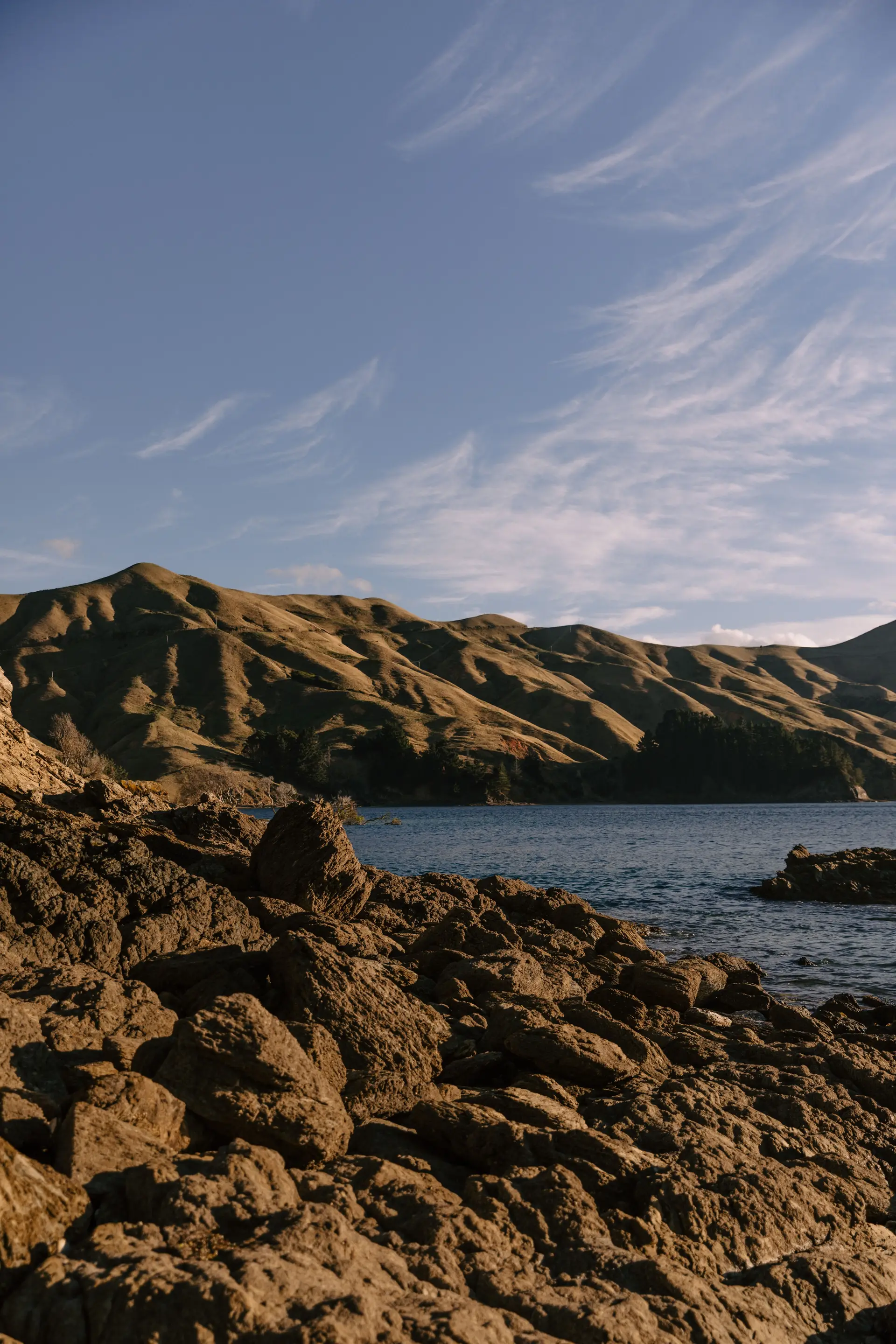 Marlborough rocky coastline
